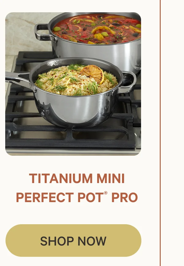 Titanium Mini Perfect Pot Pro