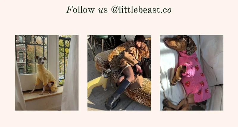 Follow us @littlebeast.co