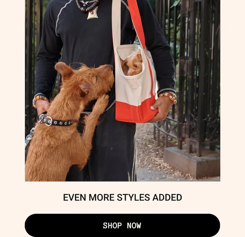 Even More Styles Added