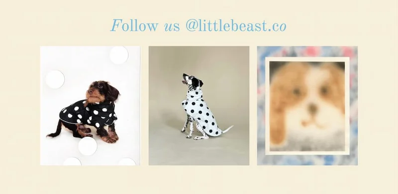 Follow us on Instagram