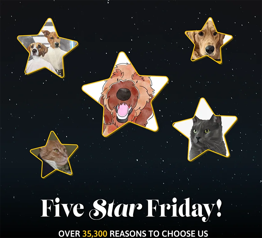 Five Star Friday! Over 35300 reasons to choose us