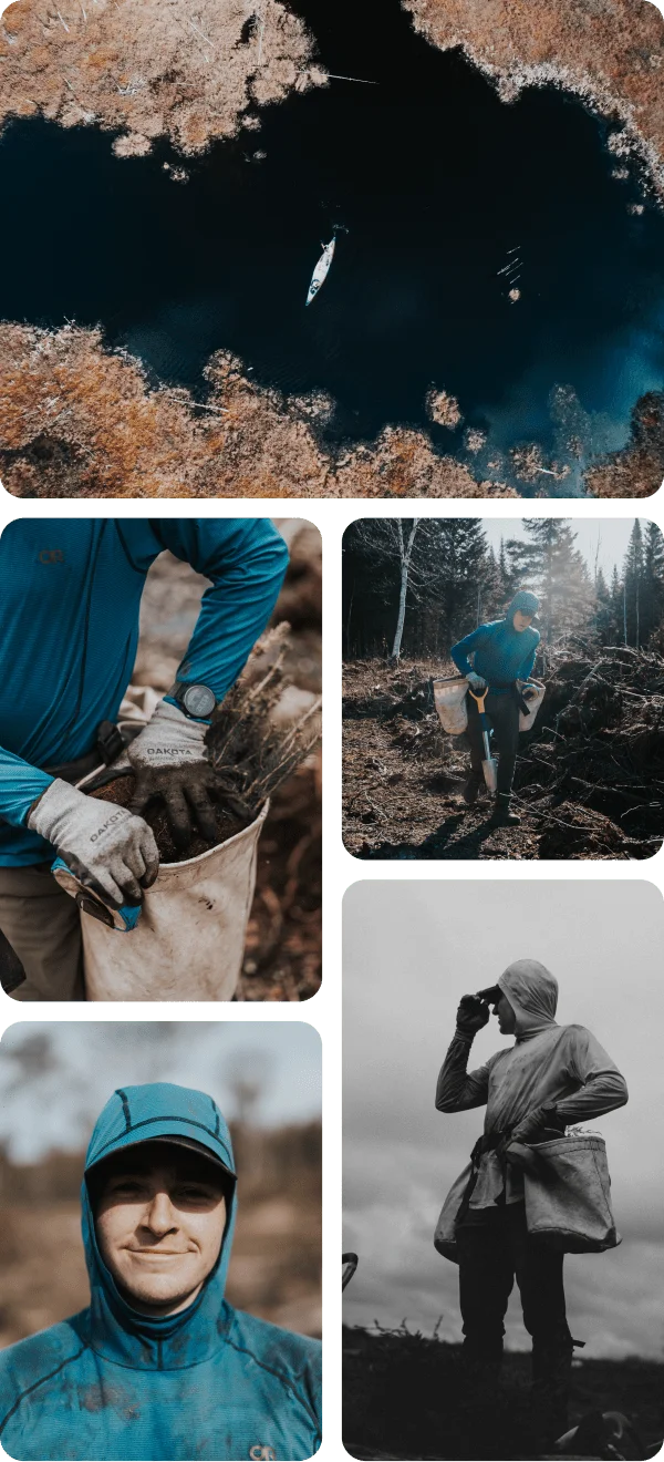 men planting trees in the forest