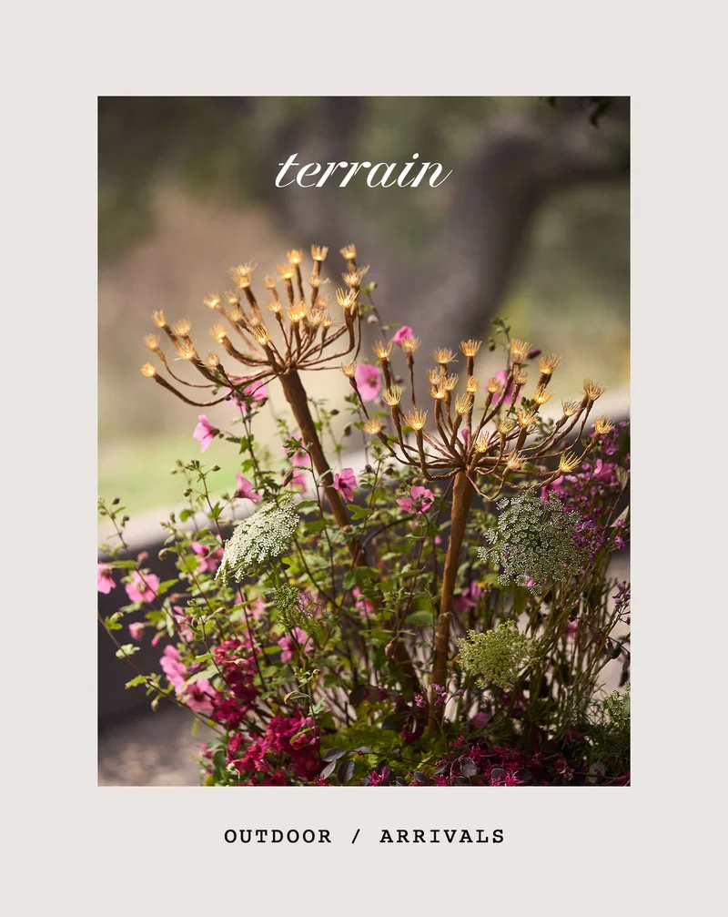 terrain, outdoor arrivals