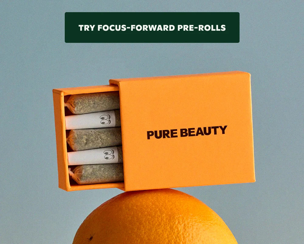 TRY FOCUS-FORWARD PRE-ROLLS