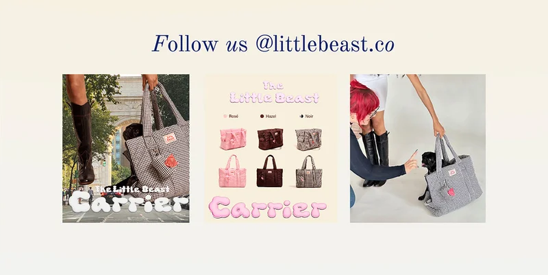 Follow us on Instagram