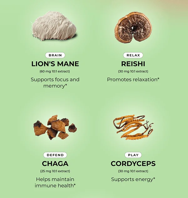 - BRAIN: Lion's Mane (60 mg 10:1 extract) supports focus and memory* - RELAX: Reishi (30 mg 10:1 extract) promotes relaxation* - DEFEND: Chaga (25 mg 10:1 extract) helps maintain immune health* - PLAY: Cordyceps (30 mg 10:1 extract) supports energy*