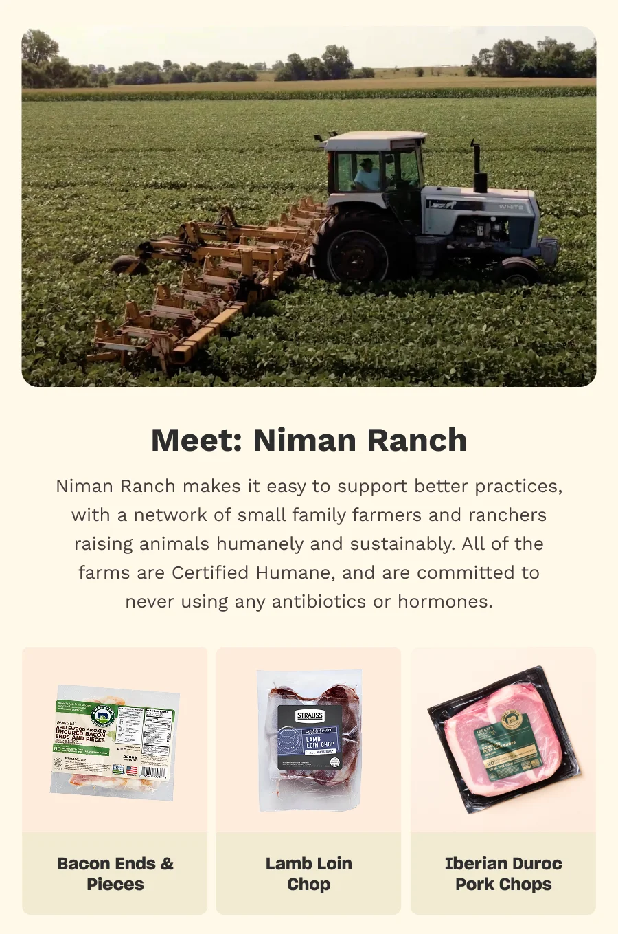 Meet: Niman Ranch