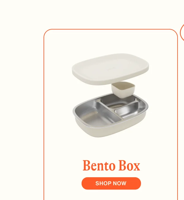Bento Box. Shop Now