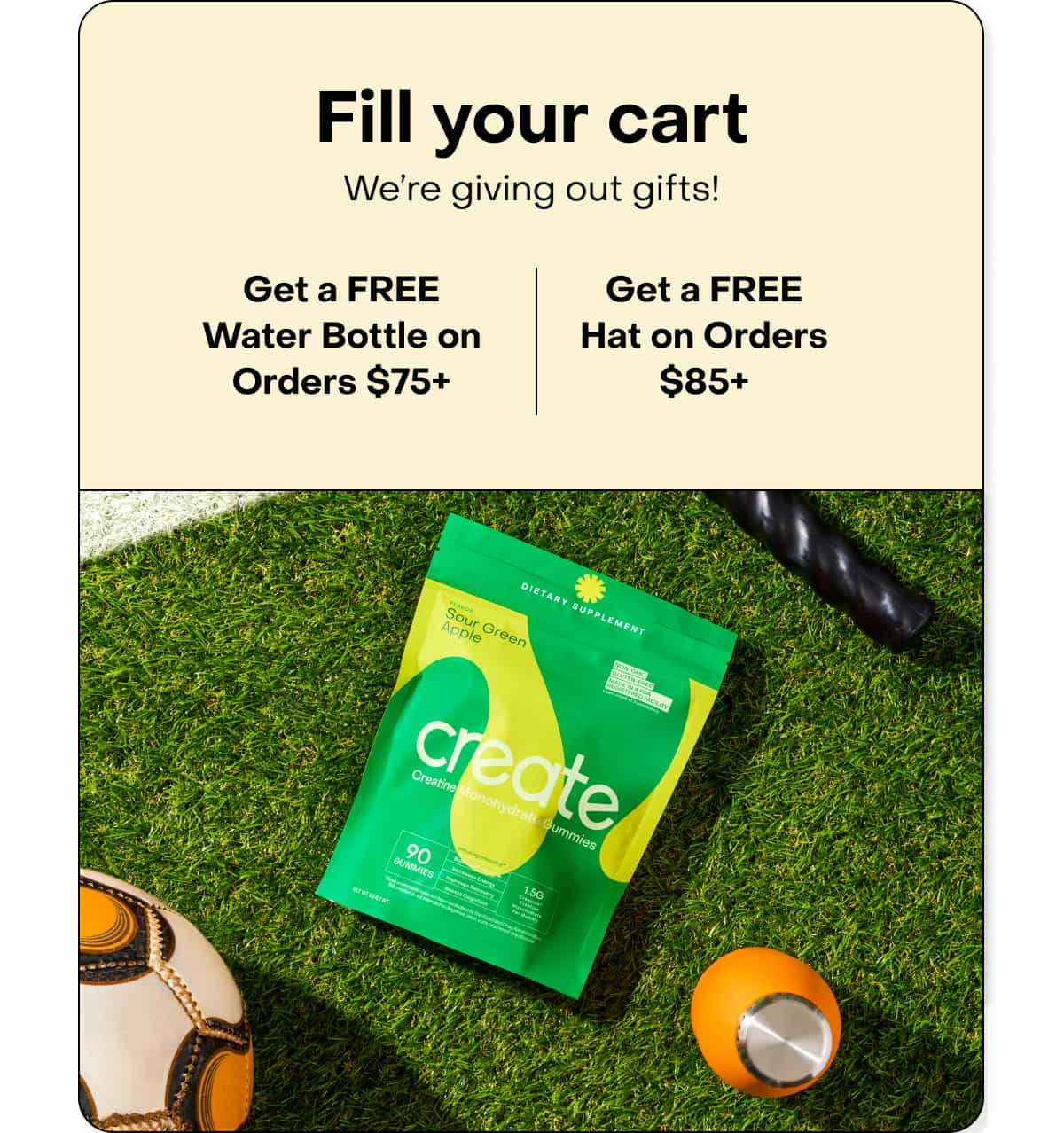 Fill your cart
