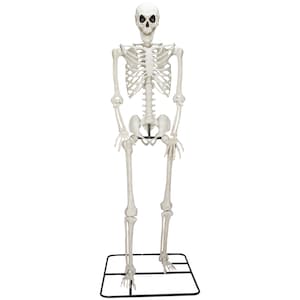 Up to 60% Off Select Halloween Décor