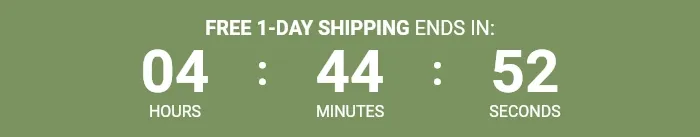 Countdown Timer
