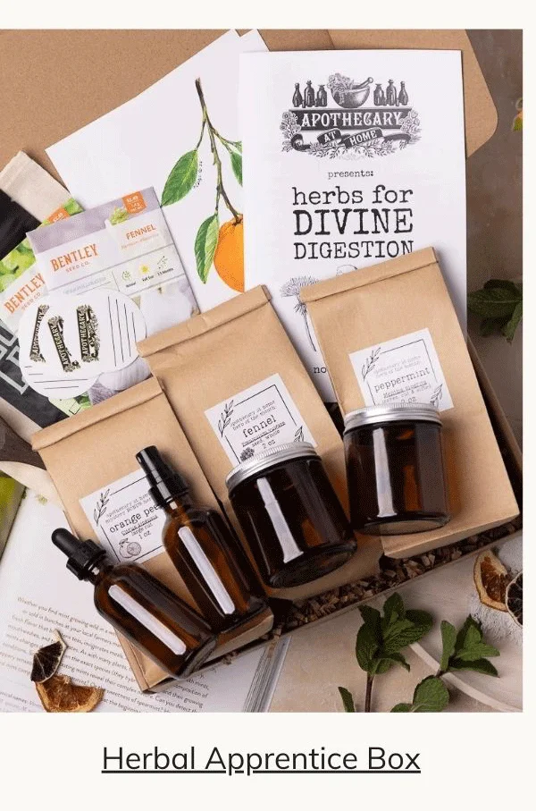 Herbal Apprentice Box