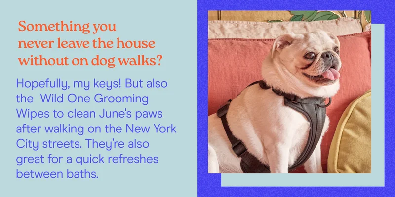 Something you never leave the house without on dog walks? Hopefully, my keys! But also the  Wild One Grooming Wipes to clean June's paws after walking on the New York City streets. They’re also great for a quick refreshes between baths.