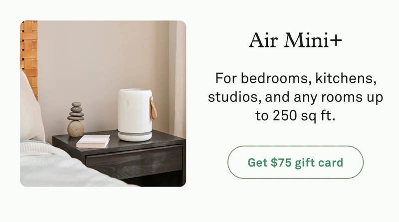 Air Mini+