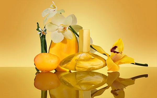 solar elixir