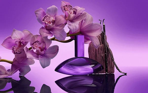 bold elixir