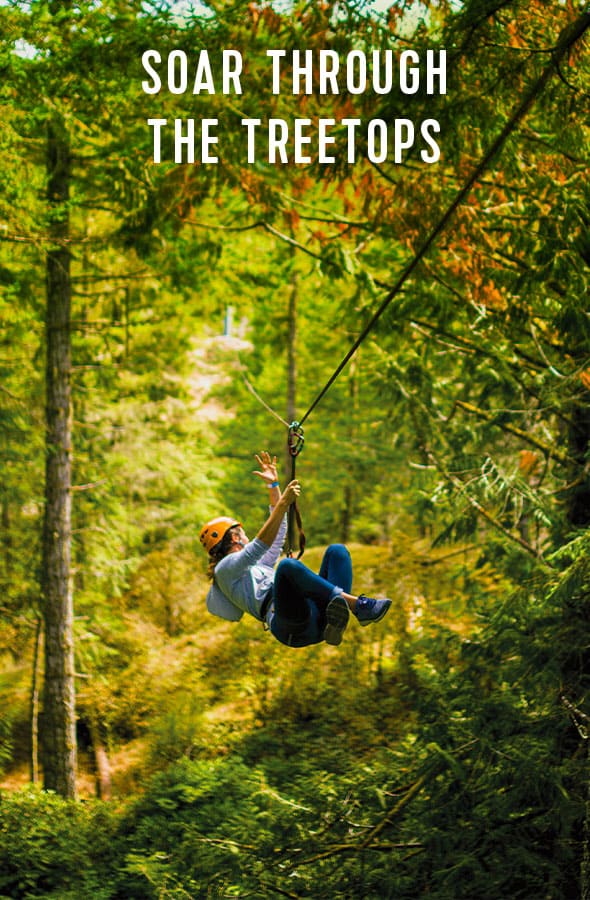 SOAR THROUGH THE TREETOPS