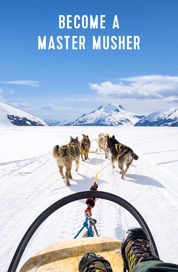 BECOME A MASTER MUSHER