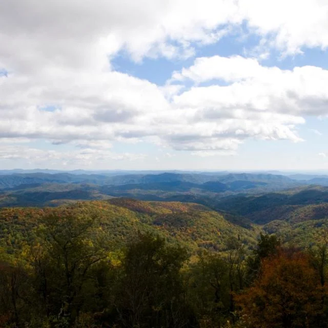 Boone