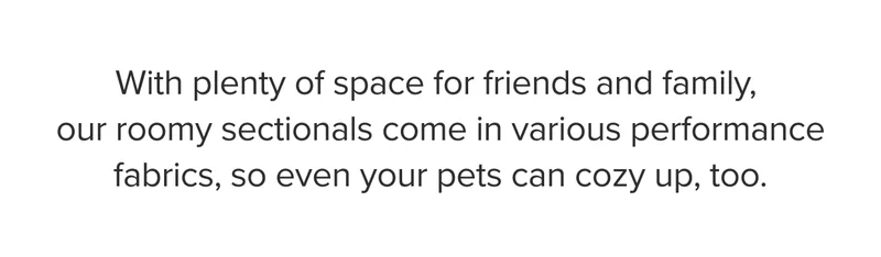 With plenty of space for friends and family, our roomy sectionals come in various performance fabrics, so even your pets can cozy up, too.