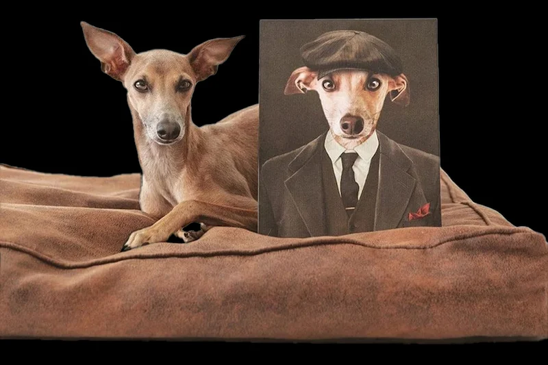 The British Gangster Custom Canvas