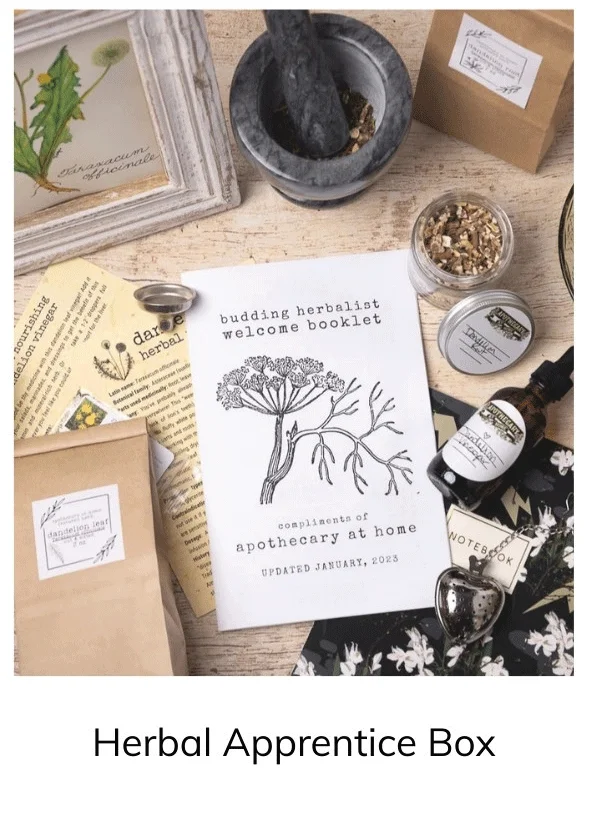 Herbal Apprentice Box Apothecary At Home