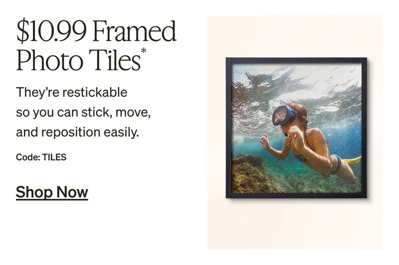 Free Shipping, No Min + Up to 50% Off Almost Everything