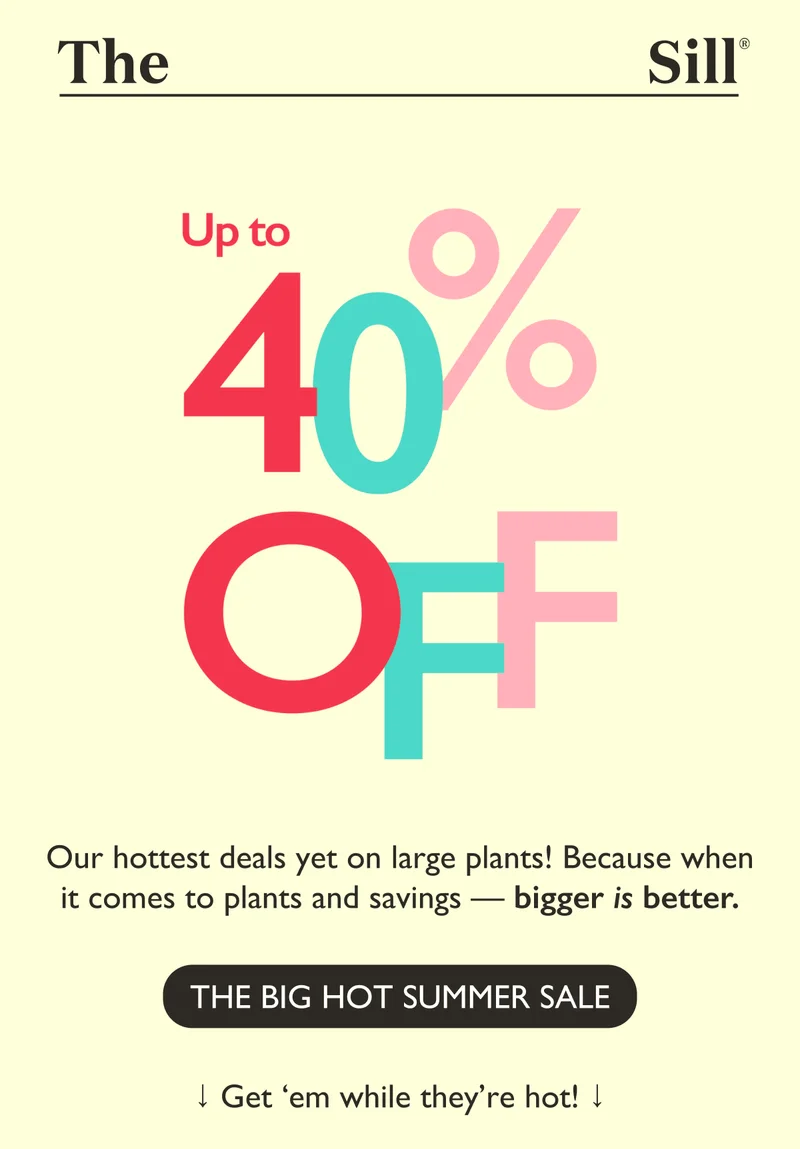 Shop our hottest deals yet on large plants! Because when it comes to plants and savings, bigger IS better.