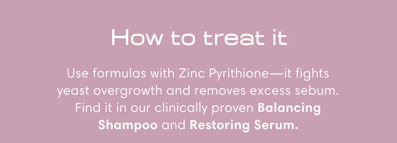 How to treat it | Use formulas with Zinc Pyrithione—it fights yeast overgrowth and removes excess sebum. Find it in our clinically proven Balancing Shampoo and Restoring Serum.