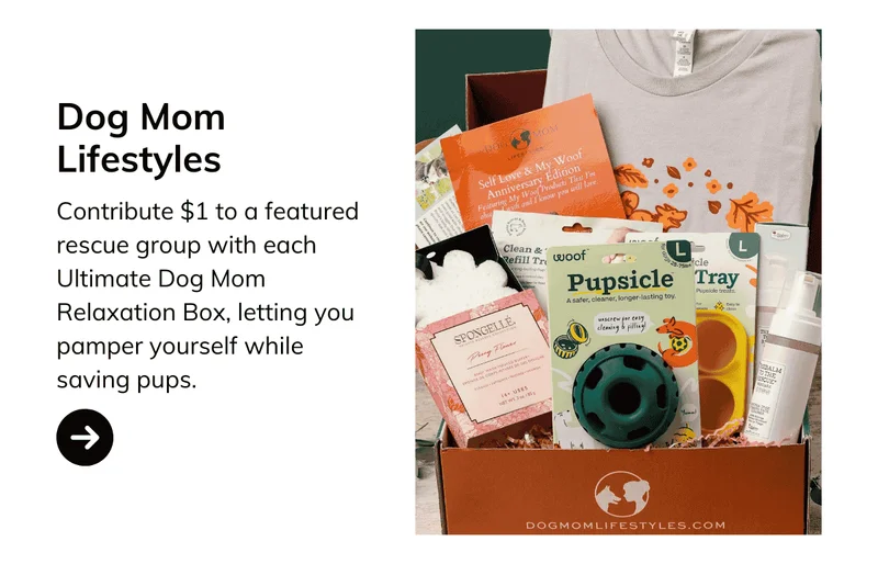 Dog Mom Lifestyles