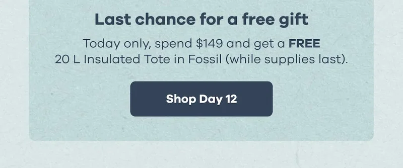 Last chance for a free gift. Today only, spend $149 and get a FREE 20 L Insulated Tote in Fossil (while supplies last). | Shop Day 12