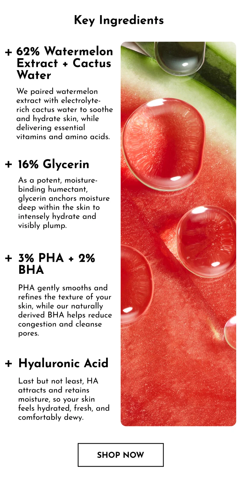 What's Inside Pride Watermelon Pore-Tight Toner
