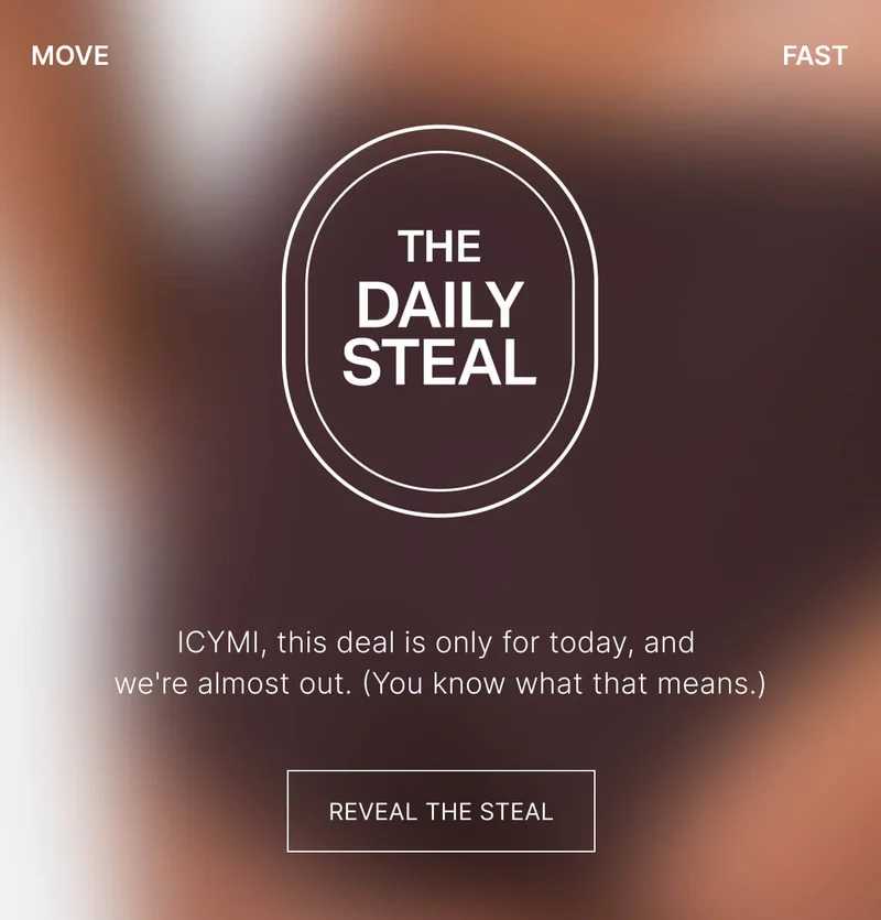 THE DAILY STEAL
