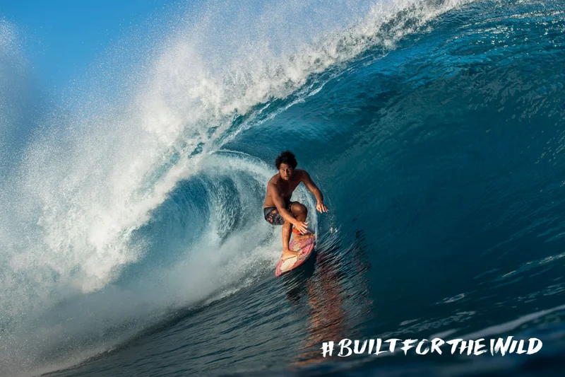 Built For The Wild