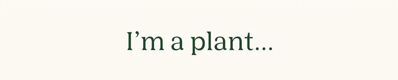 I'm a plant...