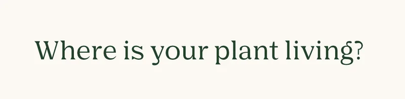 Where is your plant living?