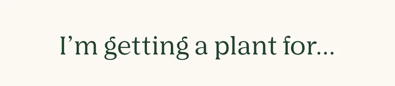 I'm getting a plant for...