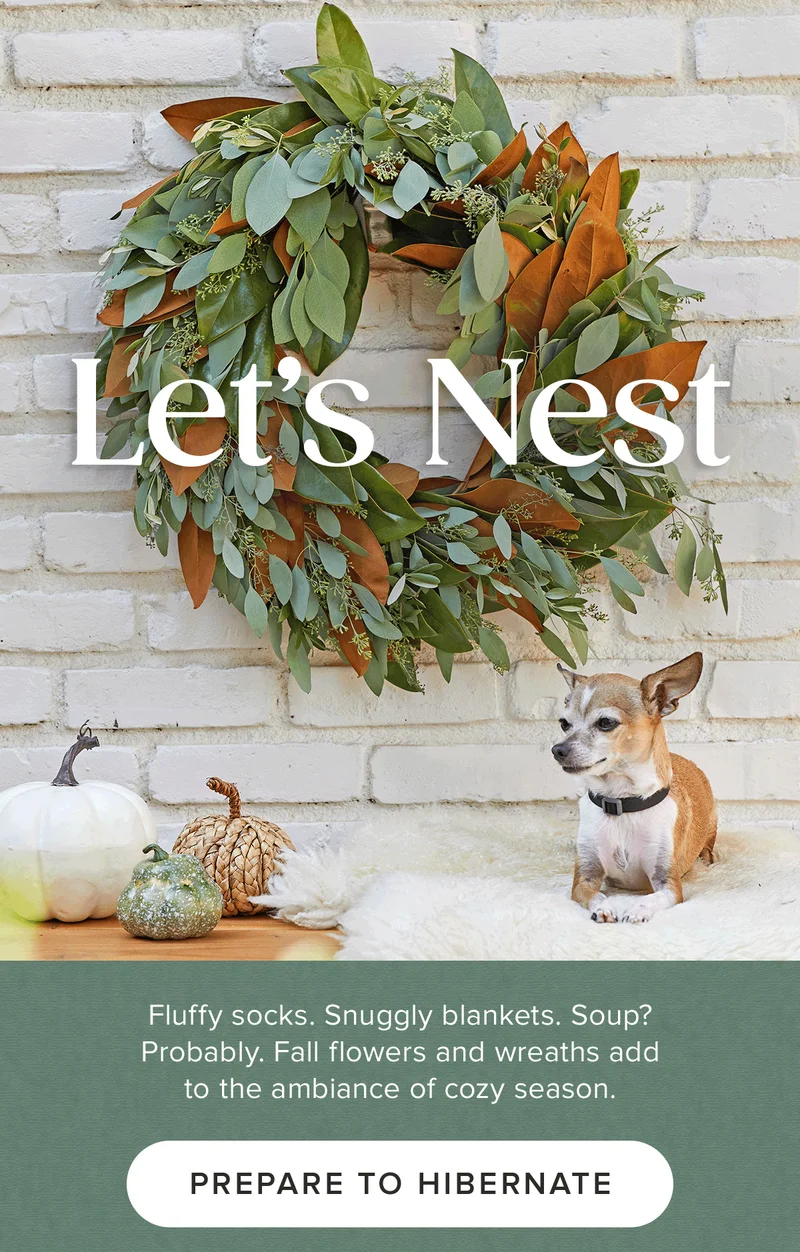 Let's Nest. Fluffy socks. Snuggly blankets. Soup? Probably. Fall flowers and wreaths add to the ambiance of cozy season.