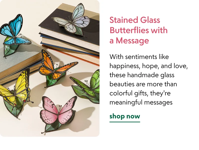 stained-glass-butterflies-with-a-message