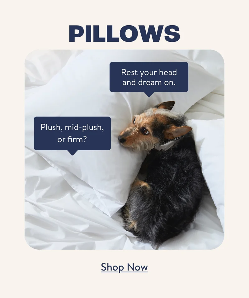 Shop Pillows