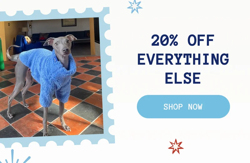 20% OFF Everything Else