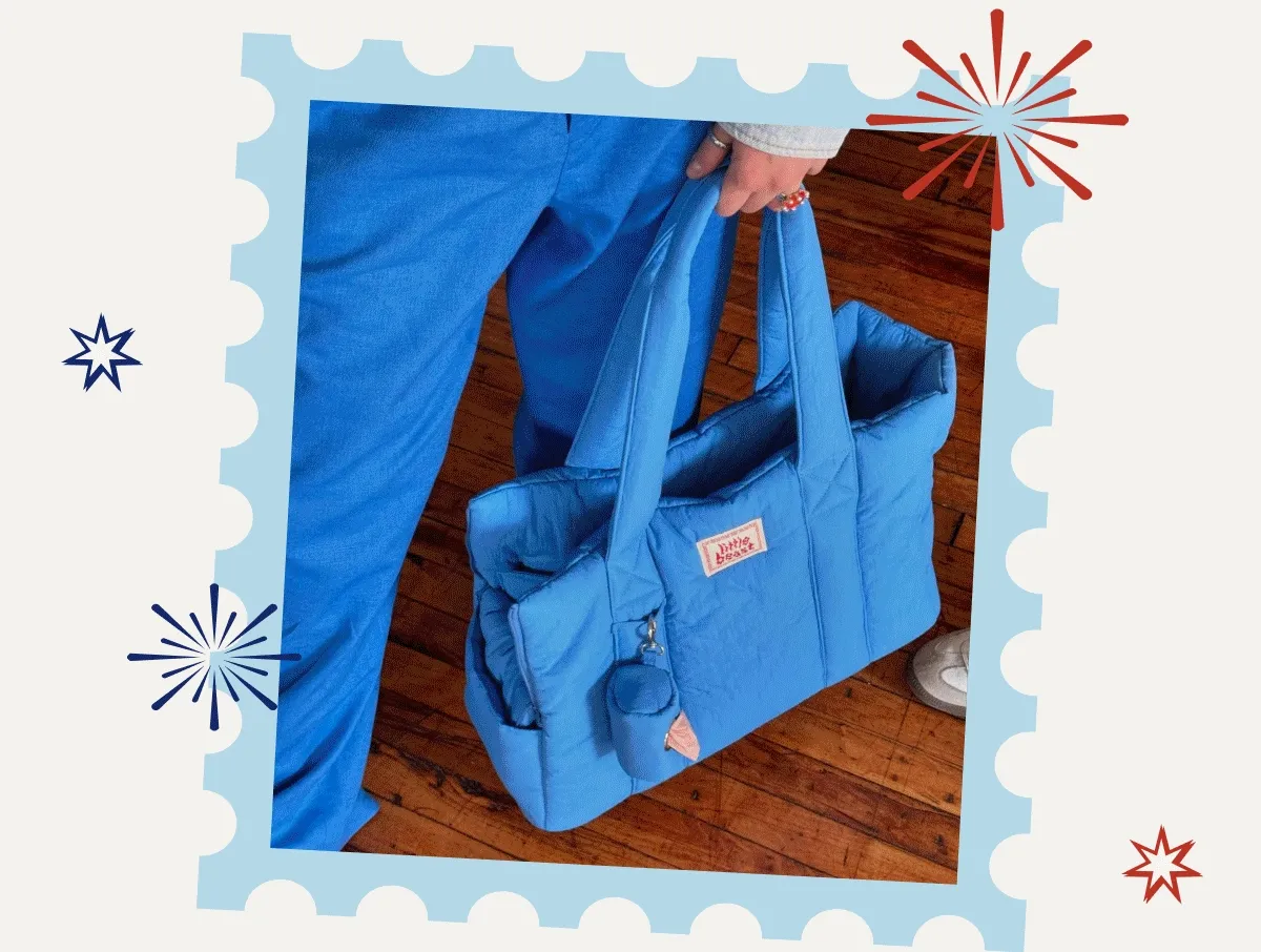 Big Savings on Our Stylish Pet Gear