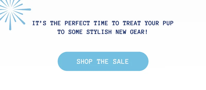 It’s the perfect time to treat your pup to some stylish new gear!