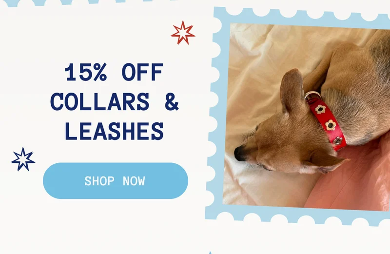 15% OFF Collars & Leashes