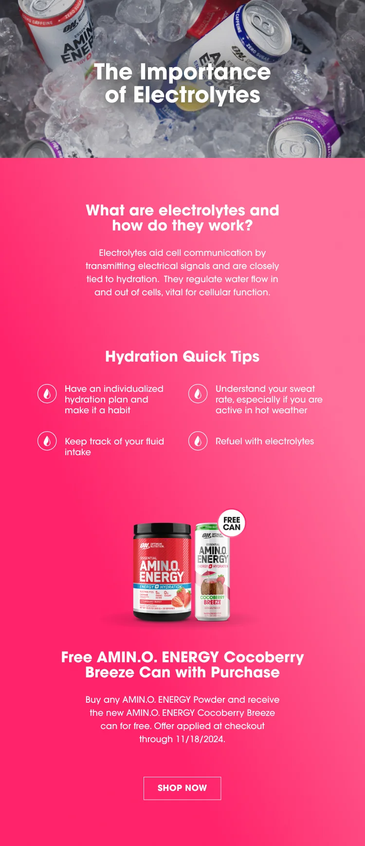 The Importance of Electrolytes What are electrolytes and how do they work? Electrolytes aid cell communication by transmitting electrical signals and are closely tied to hydration. They regulate water flow in and out of cells, vital for cellular function. Hydration Quick Tips Have an individualized hydration plan and make it a habit Understand your sweat rate, especially if you are active in hot weather Keep track of your fluid intake Refuel with electrolytes FREE CAN Free AMIN.O ENERGY Cocoberry Breeze Can with Purchase Buy any AMIN.O ENERGY Powder and receive the new AMIN.O ENERGY Cocoberry Breeze can for free. Offer applied at checkout through 11/18/2024. SHOP NOW