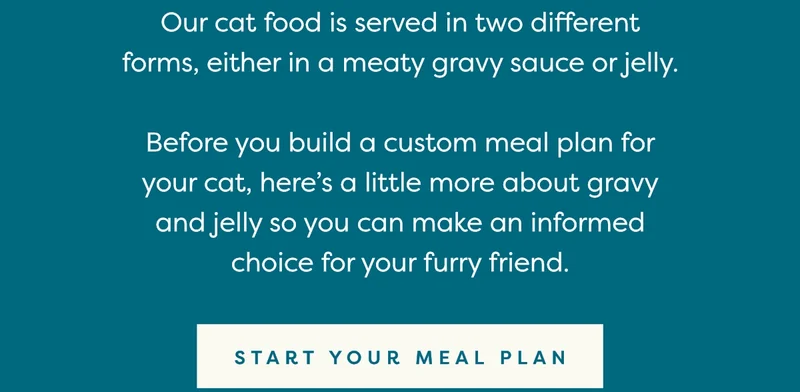 Start your meal plan