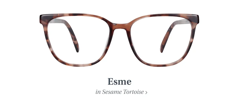 Esme in Sesame Tortoise