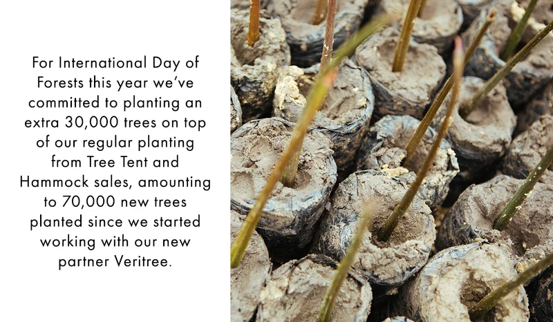 International Day of Forests Blog 1