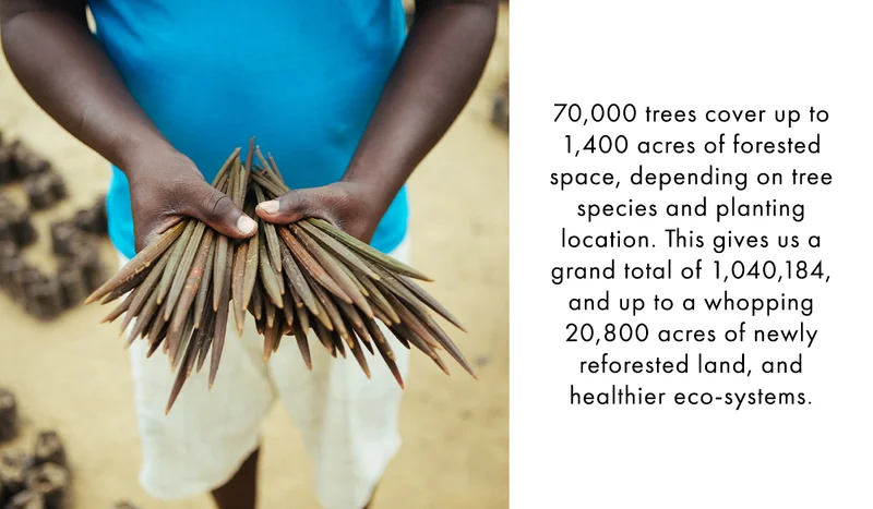 International Day of Forests Blog 2