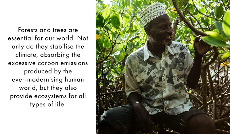International Day of Forests Blog 3